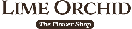 Lime orchid in Stranraer Logo